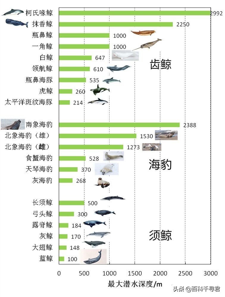 关于动物的10个伪事实你信了吗,关于动物的谣言许多人却深信不疑