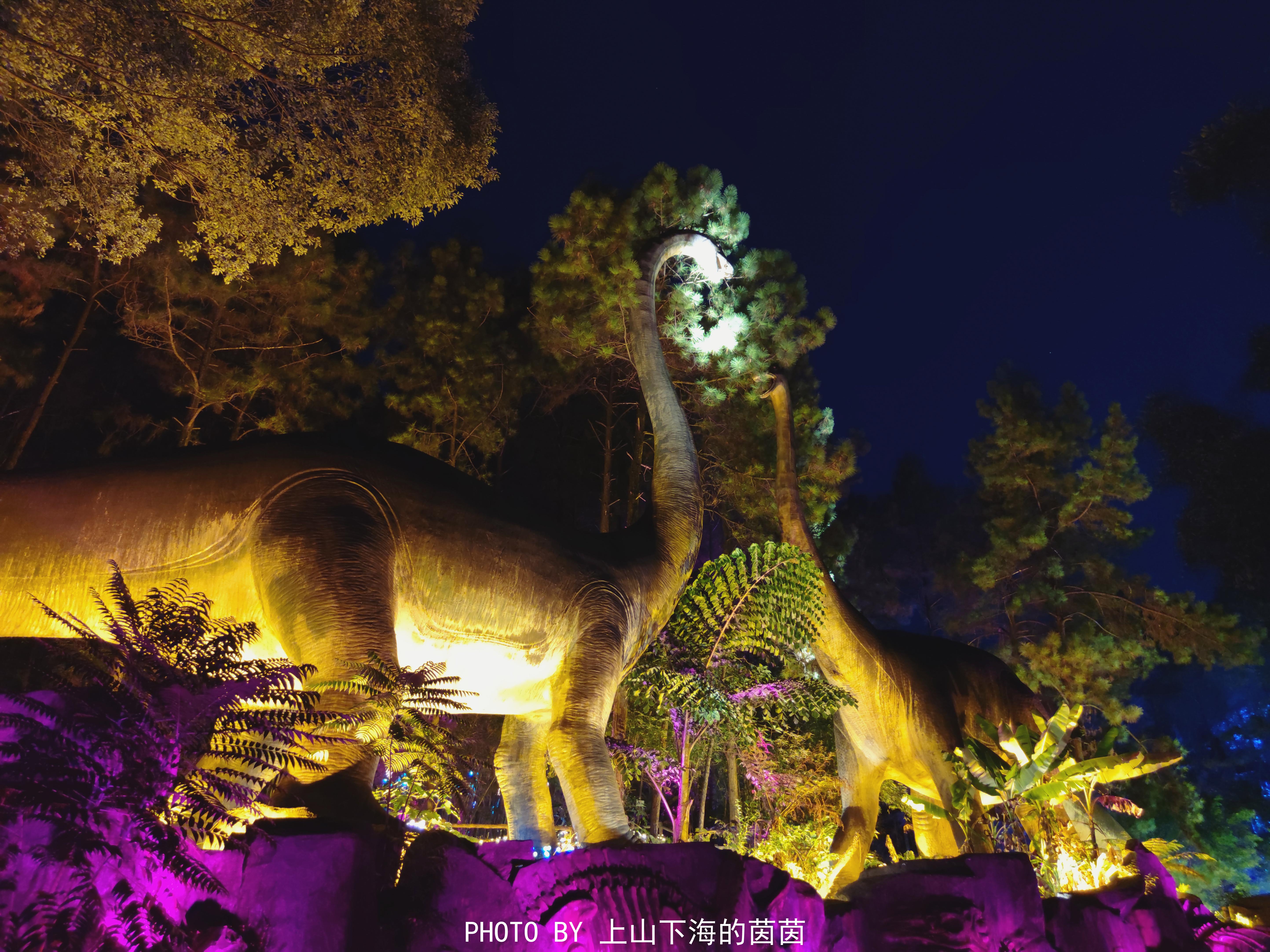 清远市佛冈森波拉度假区,佛冈森波拉度假森林免费攻略