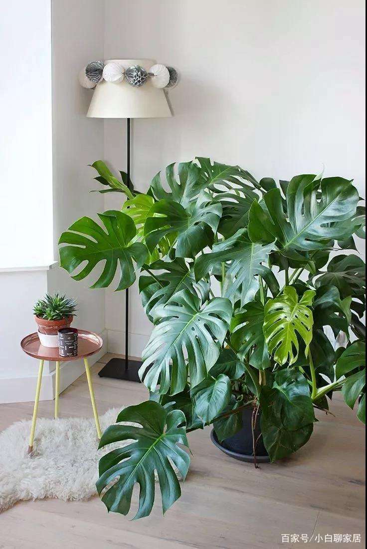 房子入住必买各式物品清单,新房购物必备物品清单