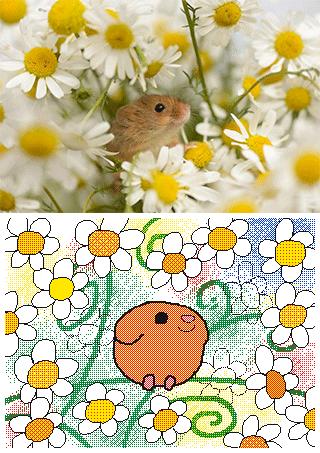 朋友圈九宫格喜感视频,开心到模糊的搞笑动图