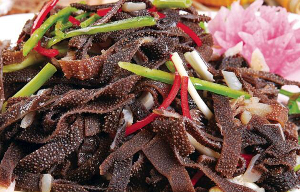 牛肚和牛百叶分别是牛的什么部位,牛百叶是牛的哪个部位的肉