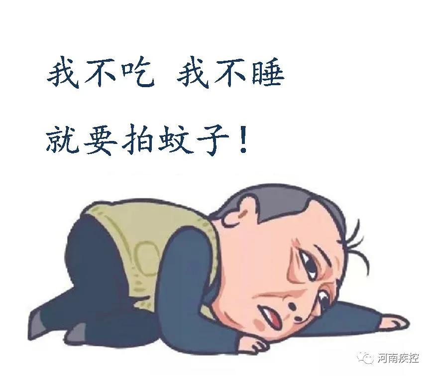 伊蚊是什么蚊子,伊蚊是哪个地区的蚊子