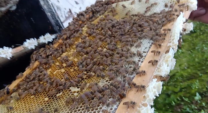 藏在深山里的宝藏,藏在大山里的财富