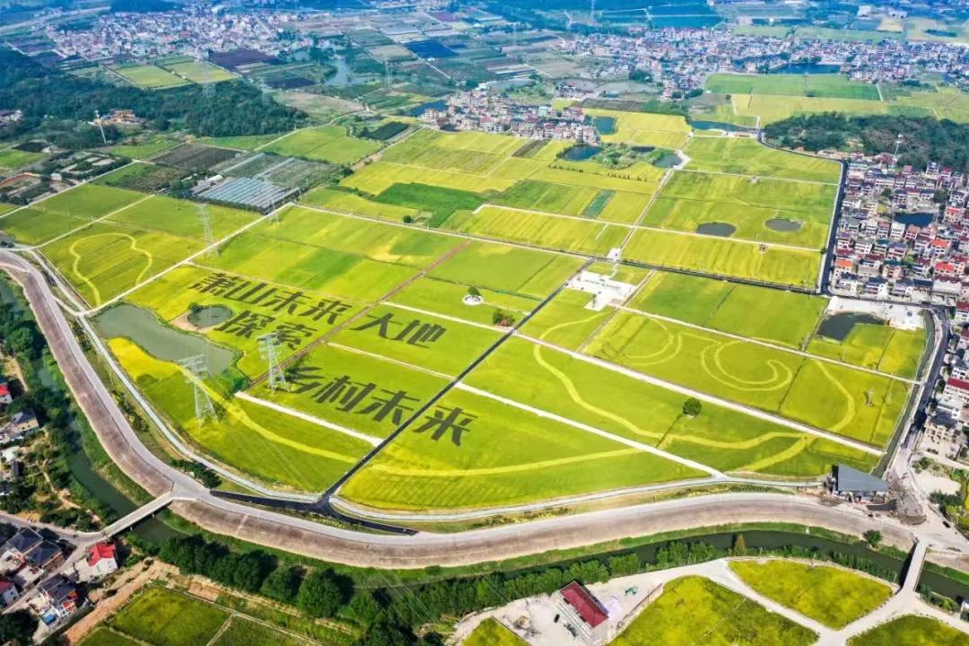 杭州最佳赏秋路线推荐,杭州附近赏秋的地方