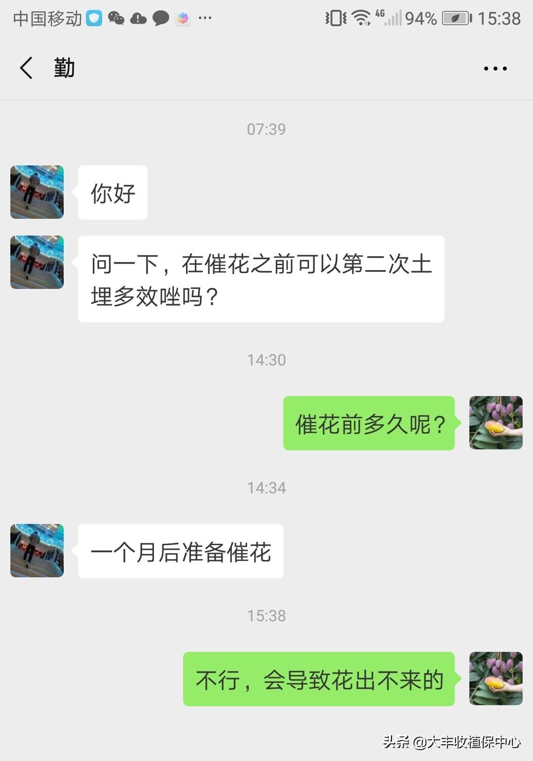 芒果角斑病特效药,芒果角斑病最佳治疗方案