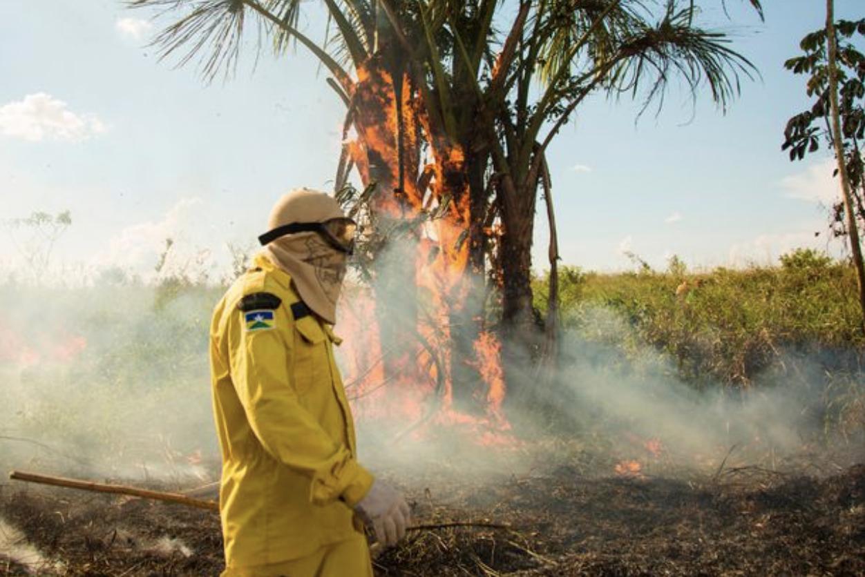 生灵涂炭,生灵被涂炭完整视频