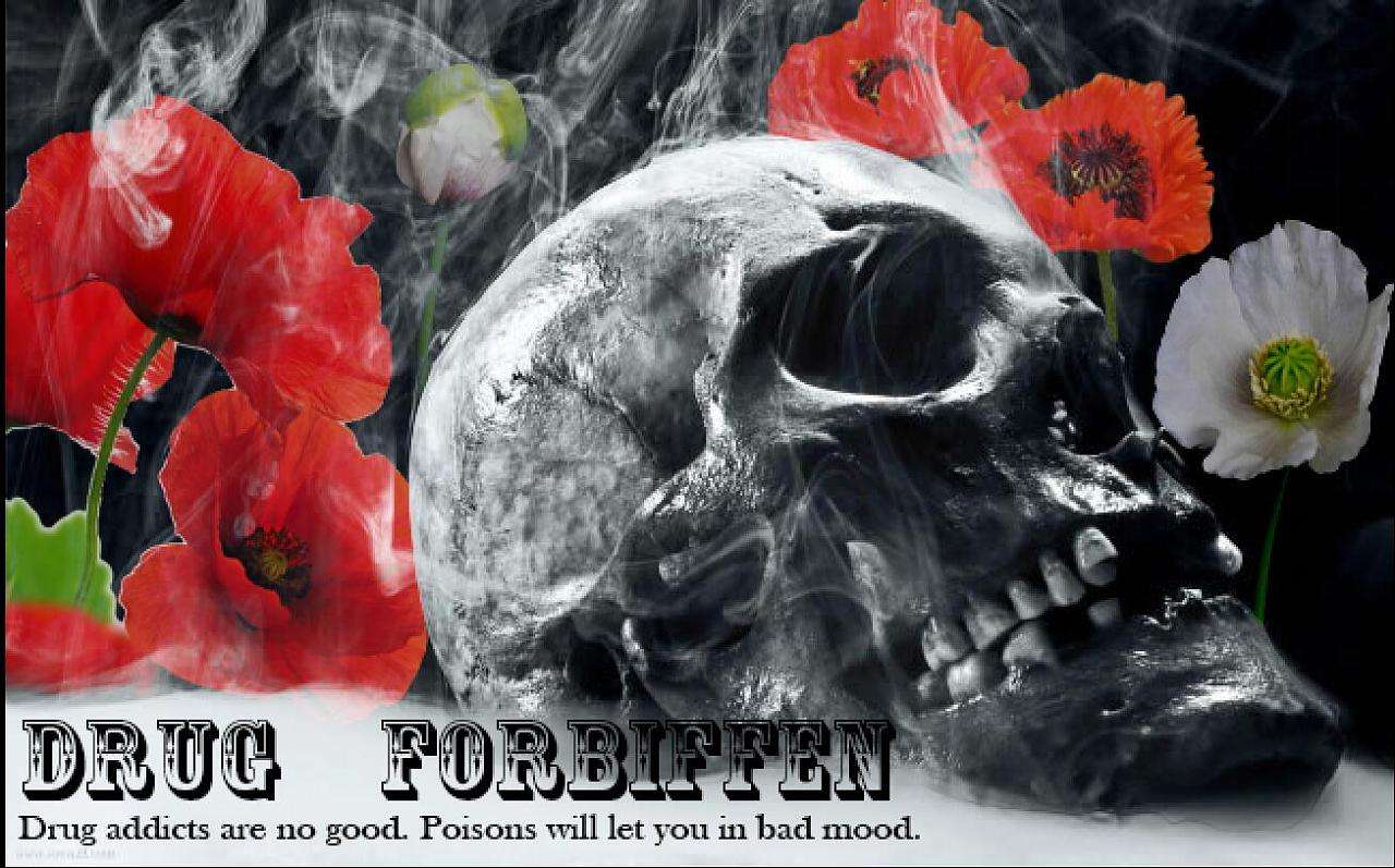 权威发布减肥产品,曝光10款减肥产品