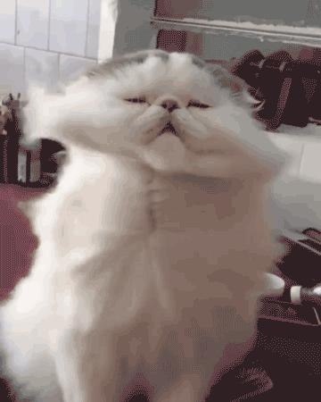 大盘暴跌创新低,放量暴跌创新低