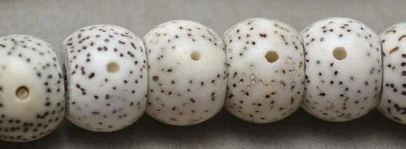 星月菩提的选购、盘玩、保养入门基础篇