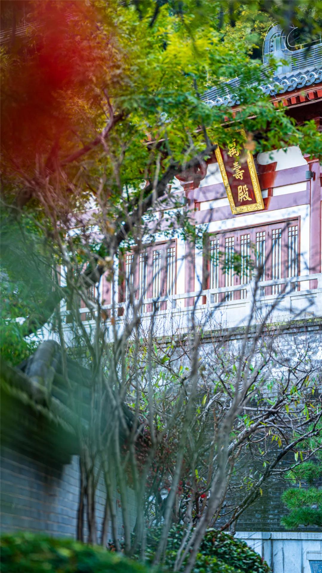 华清宫的初冬美景，惊艳了谁的时光？