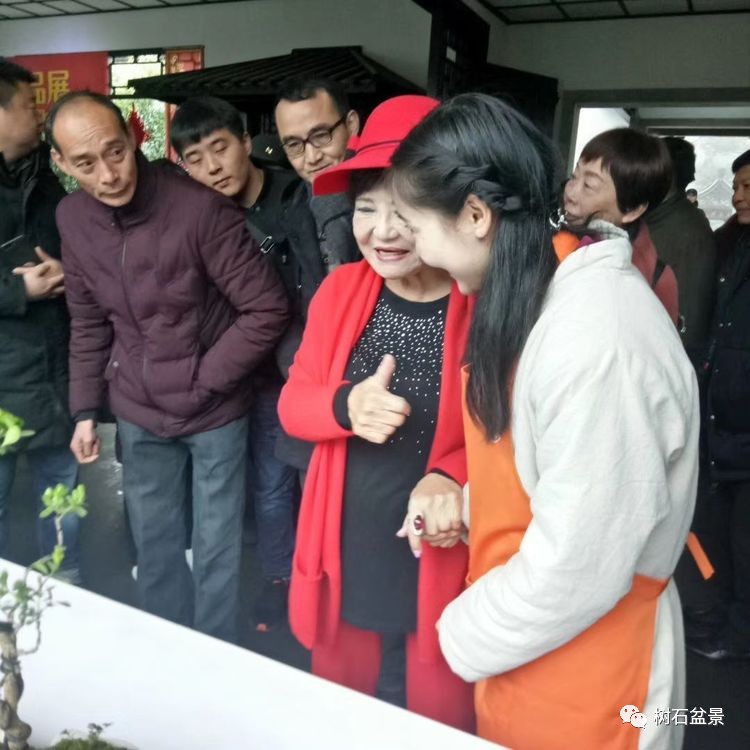 杨派盆景传承人,杨派盆景非遗传承人