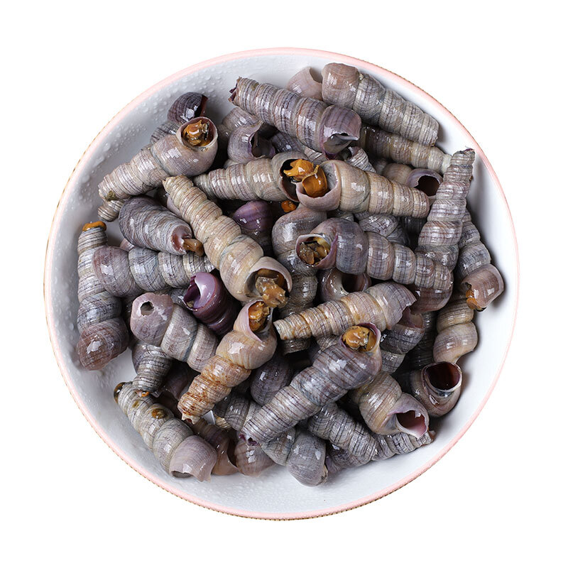 渤海湾野生海鲜图片,渤海湾海鲜为什么好