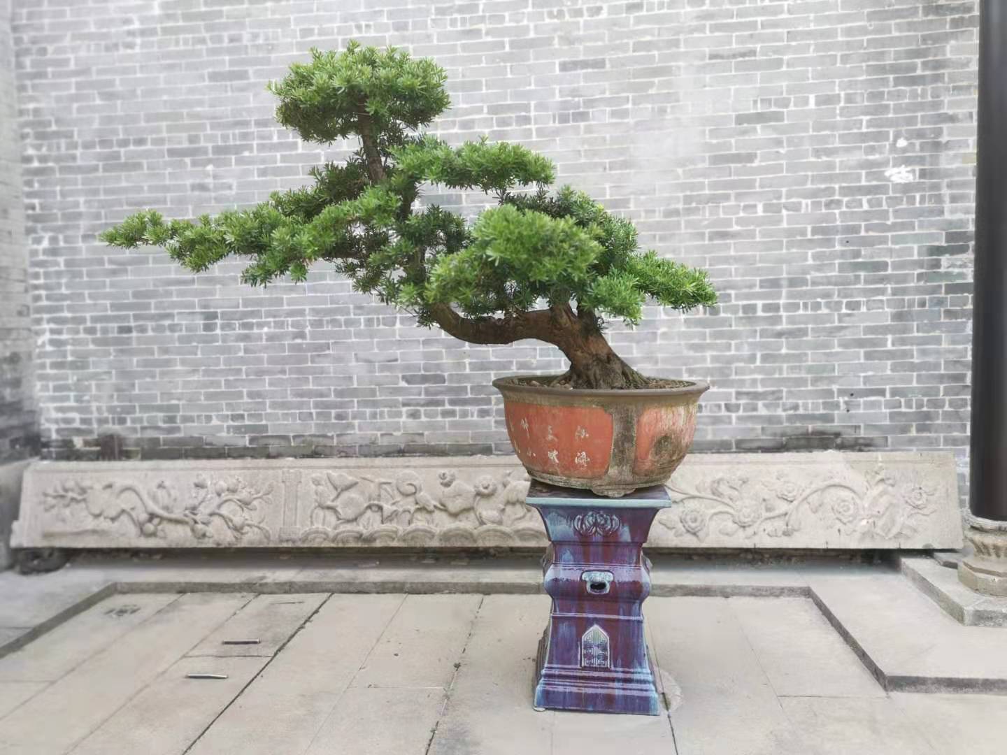 中国传统文化与院子,中国传统文化天井