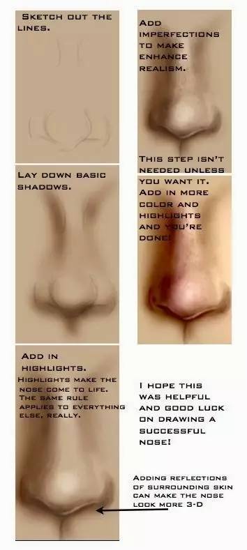 美术速写鼻子教学,美术绘画鼻子教学