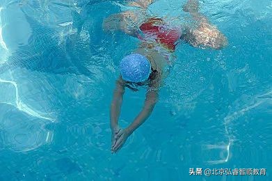 初学者如何学好蛙泳的技巧,抬头蛙泳如何快速入门