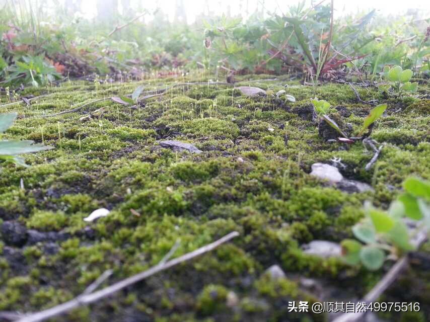 阿p破财消灾,阿p玩盲僧赢了