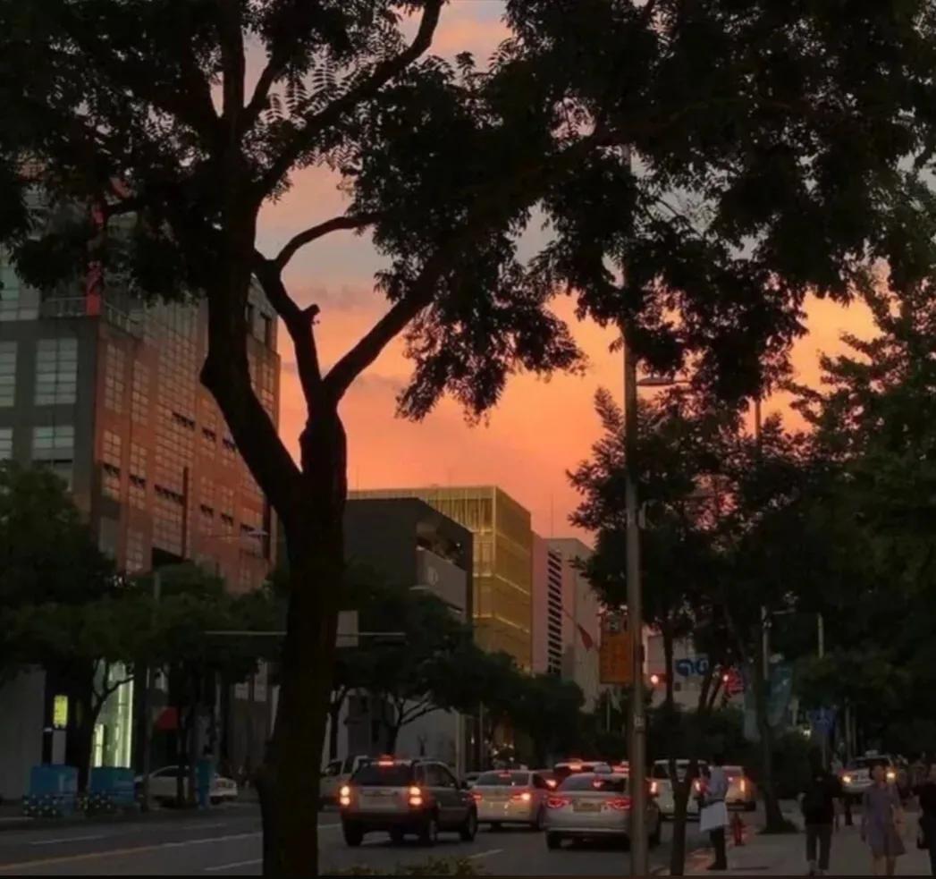 教你怎么去爱一个人电影,怎样学会去爱一个人