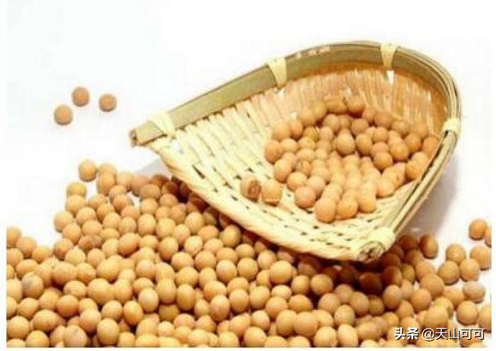 黄豆要炸多久才能熟,黄豆要煮多久才软糯