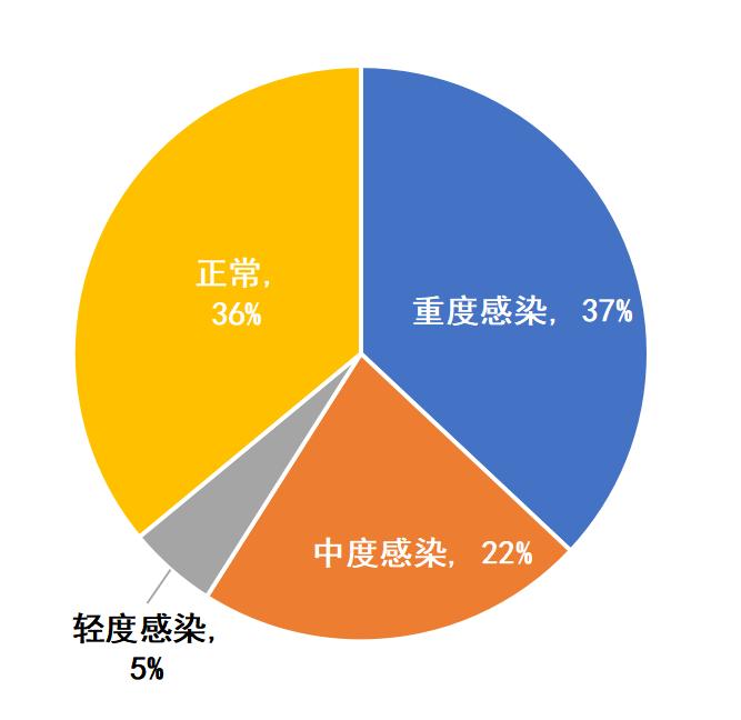 梭菌感染,梭菌感染牛啥症状