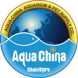 群星闪耀第21集完整版,群星璀璨专题第十期视频