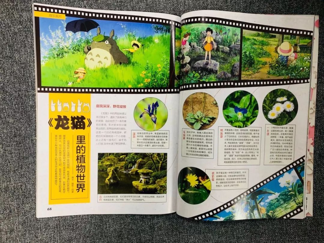 班主任推荐的书目,班主任方面的杂志推荐