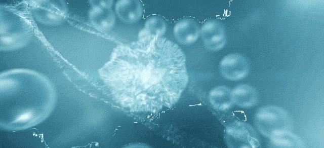 羊奶补水沐浴乳,羊奶美白沐浴露