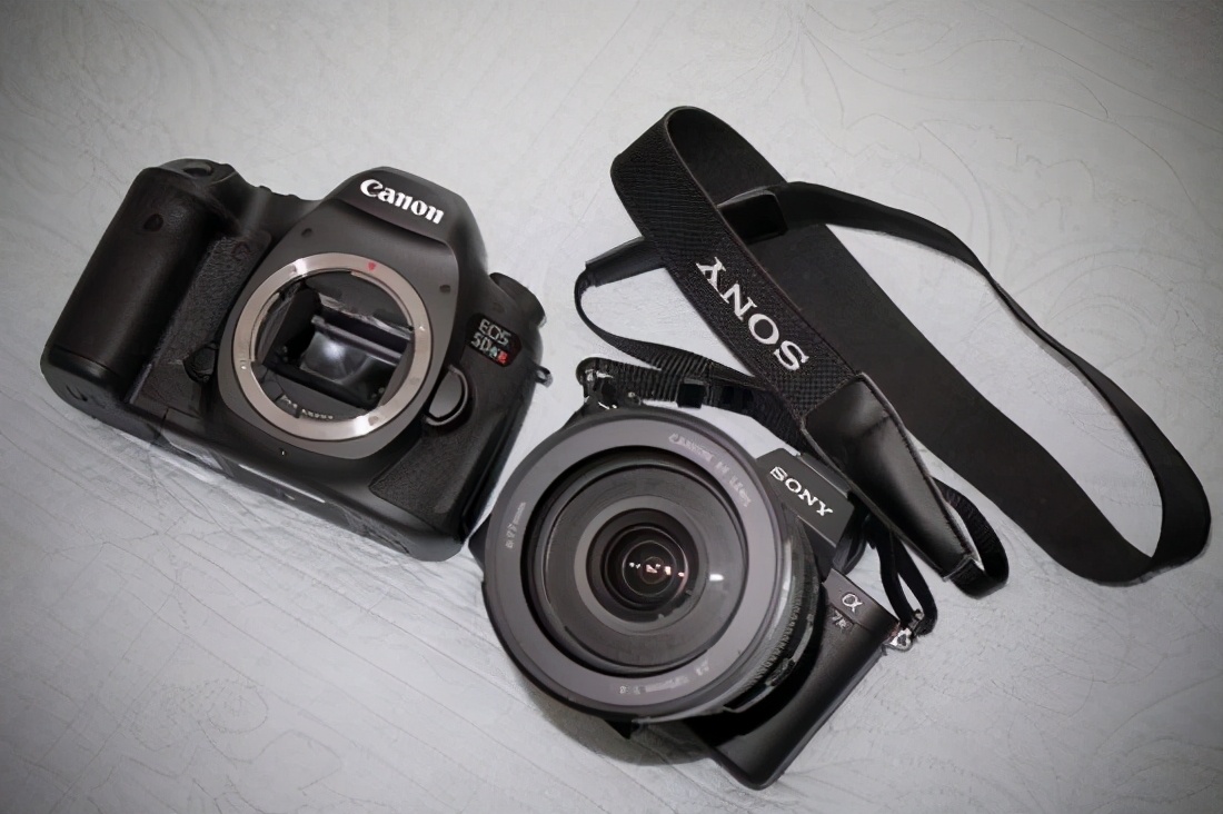 出去玩都爱背一个相机,那单反和微单,有什么区别该怎么正确入手