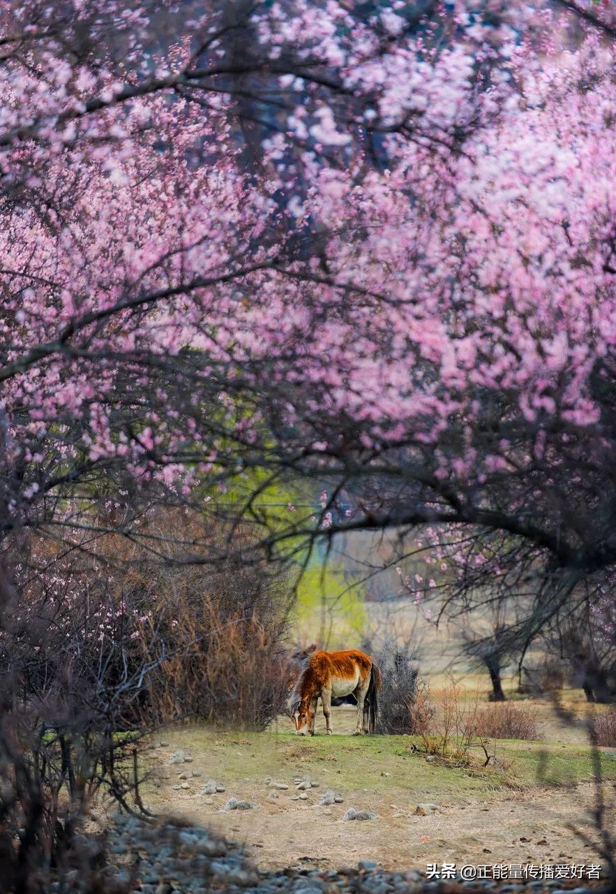 全世界50个最美景点,全球公认的最美的二十个地方