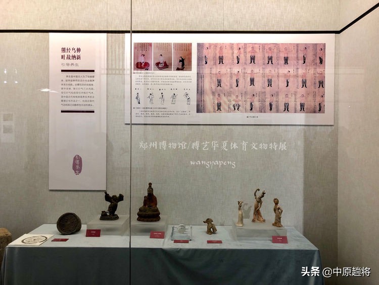 古代的体育运动你知道多少？郑州博物馆看华夏体育*物文**特展