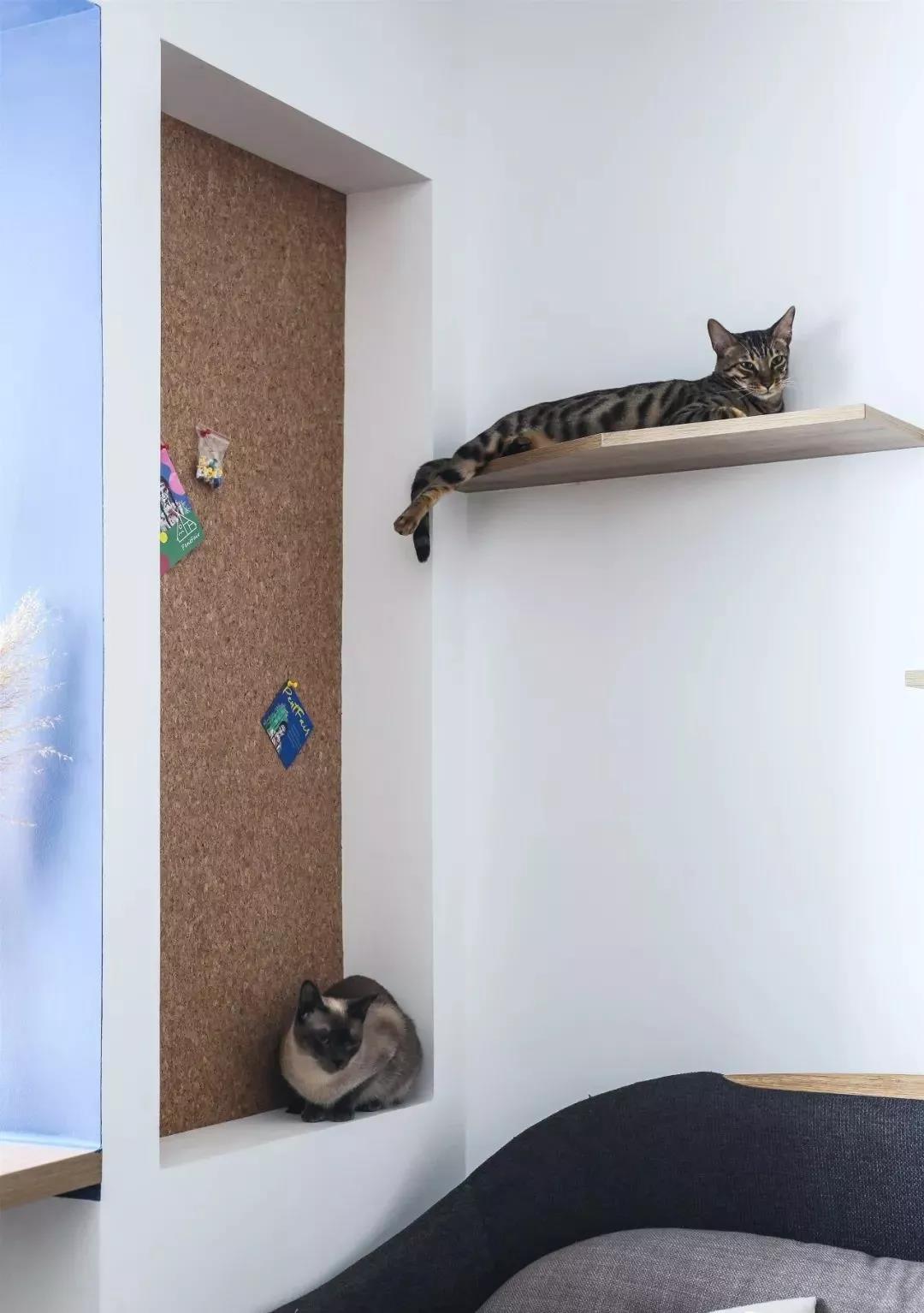 48平小户型一厨一卫,超强收纳小户型