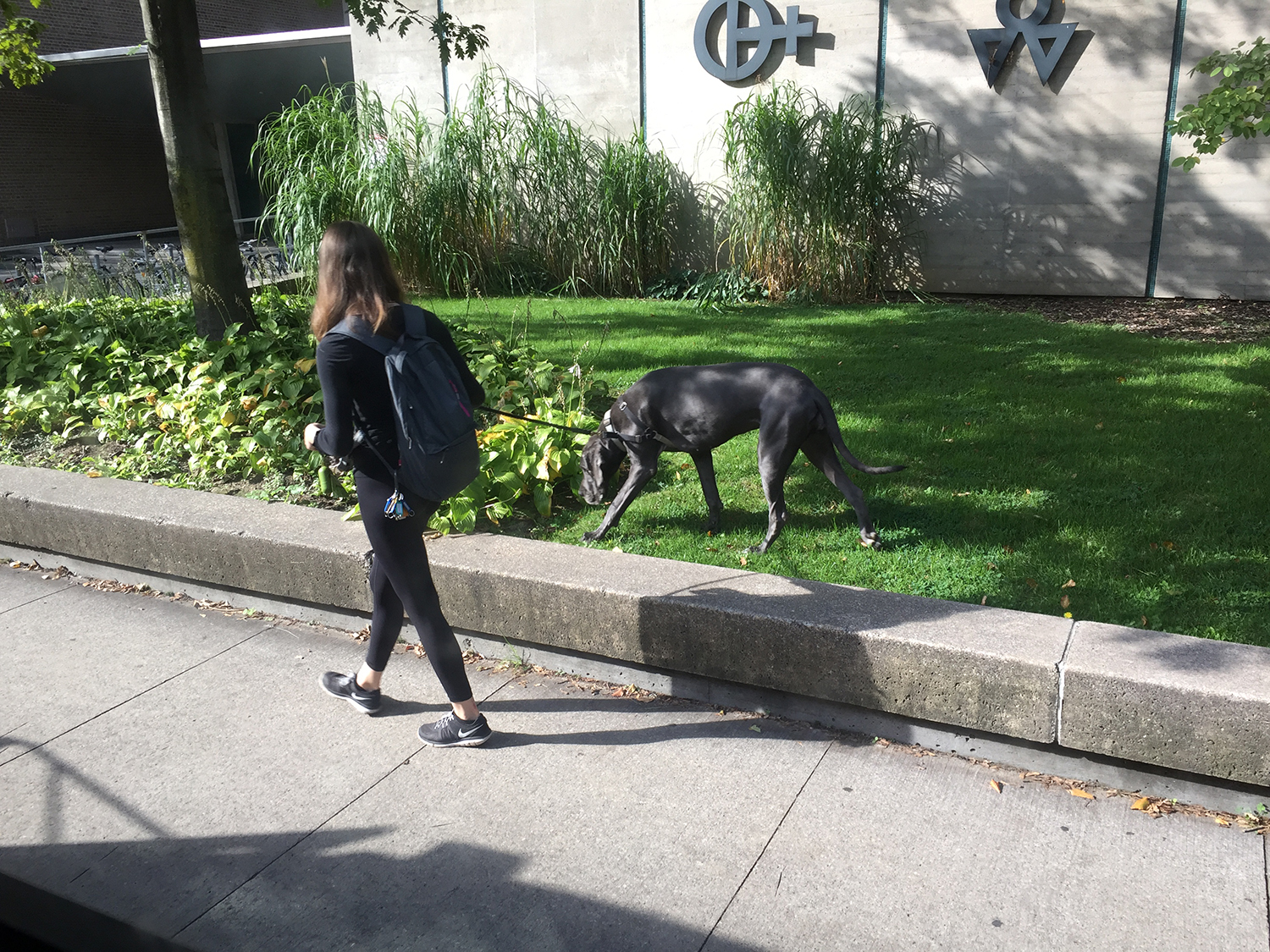 加拿大留学网站有哪些,加拿大留学网好吗