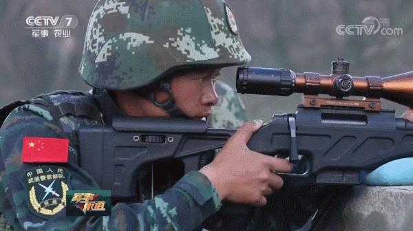 国产高精狙的有效射程,中国高精狙击枪和外国的差距