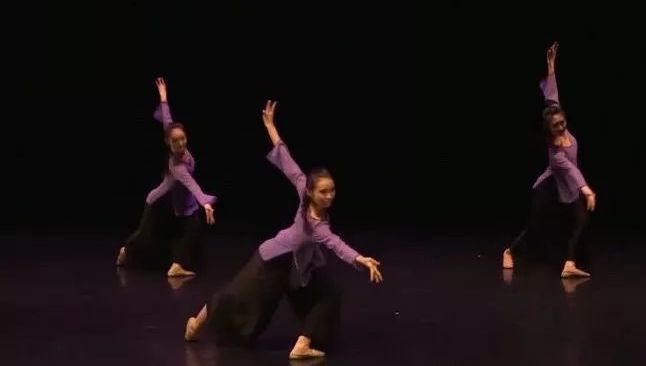 中国古典舞的种类,古典舞分类