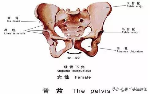 如何做好盆腔的产后修复？市场套路太深，别被坑骗啦
