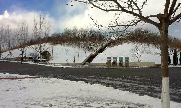 辽宁省高校（三十一）大连医科大学