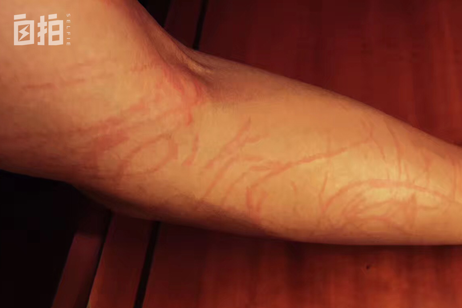 我离开体制后的这三年,我离开体制的自述