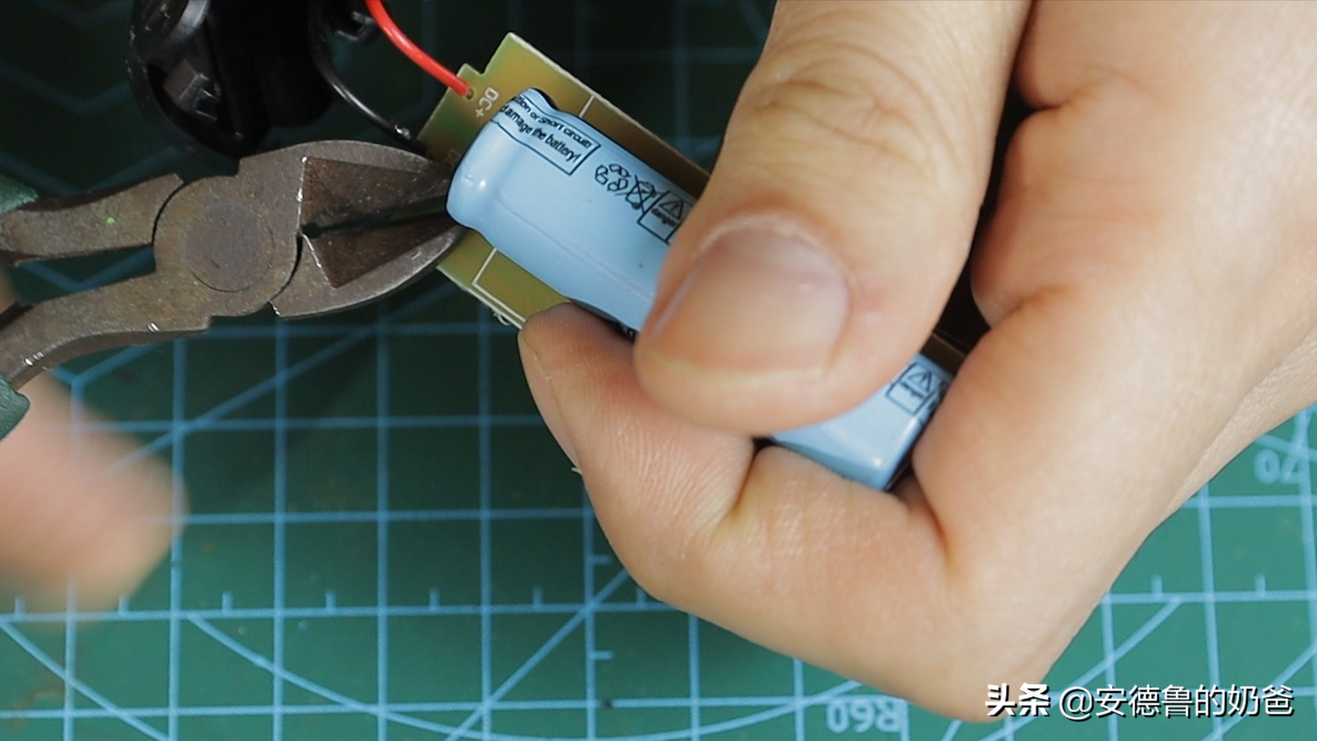 春日vlog完整版,春日vlog竖版