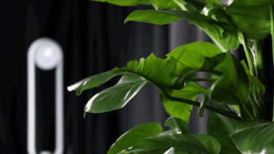 戴森无叶扇凉快吗,戴森无叶风扇怎么吹凉快