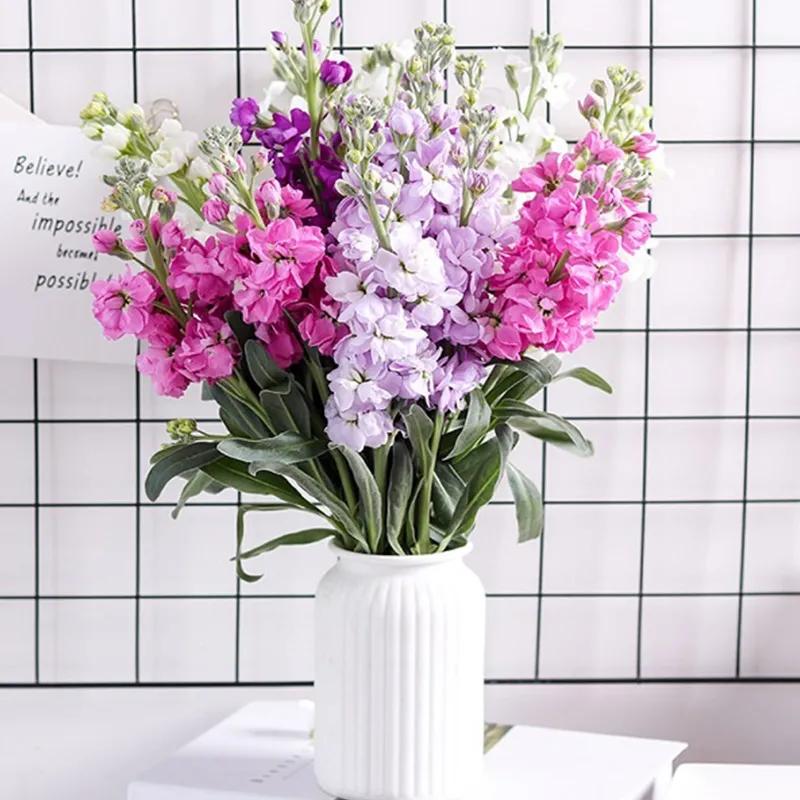 紫罗兰凯斯系列来了！早花百搭带芳香，轻松实现你的切花自由梦