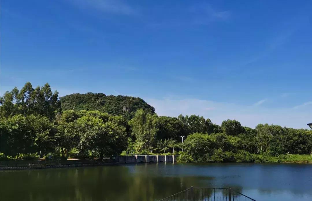 三亚学院21年新生报到,三亚学院新生入学教育