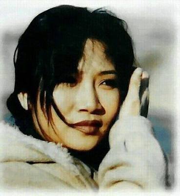 李娜韩红对比,李娜韩红的实力