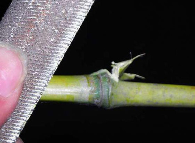 用竹子怎么做钓100斤的草鱼鱼竿,如何用竹子制作路亚鱼竿教程视频