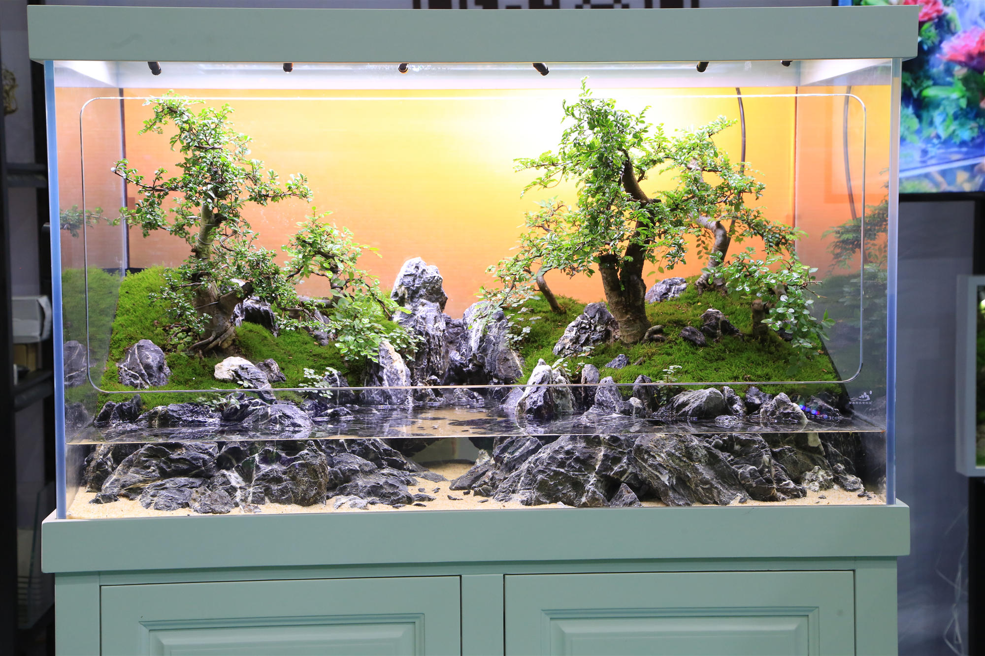 淡水水族展,中国国际水族展