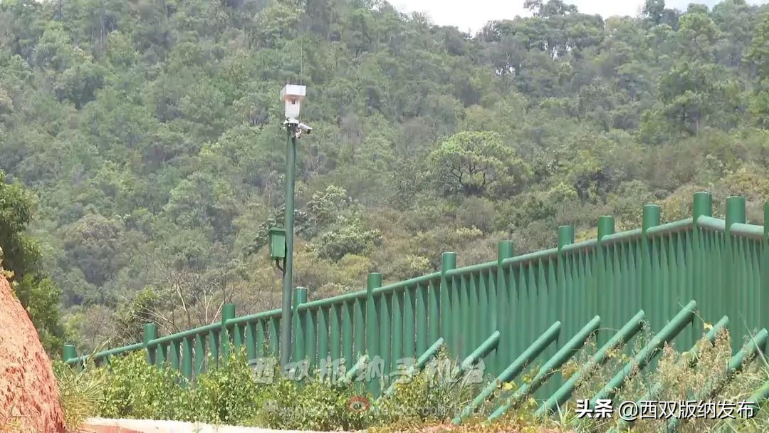 浜鸿薄鍜岃皭鍏卞,浜烘槸鎬庢牱涓庤嚜鐒跺拰璋愮浉澶勭殑浜嬩緥