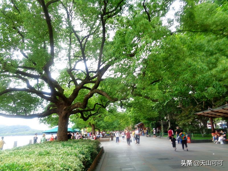 西湖一日游西湖景色到底有多美,再说一遍西湖之美