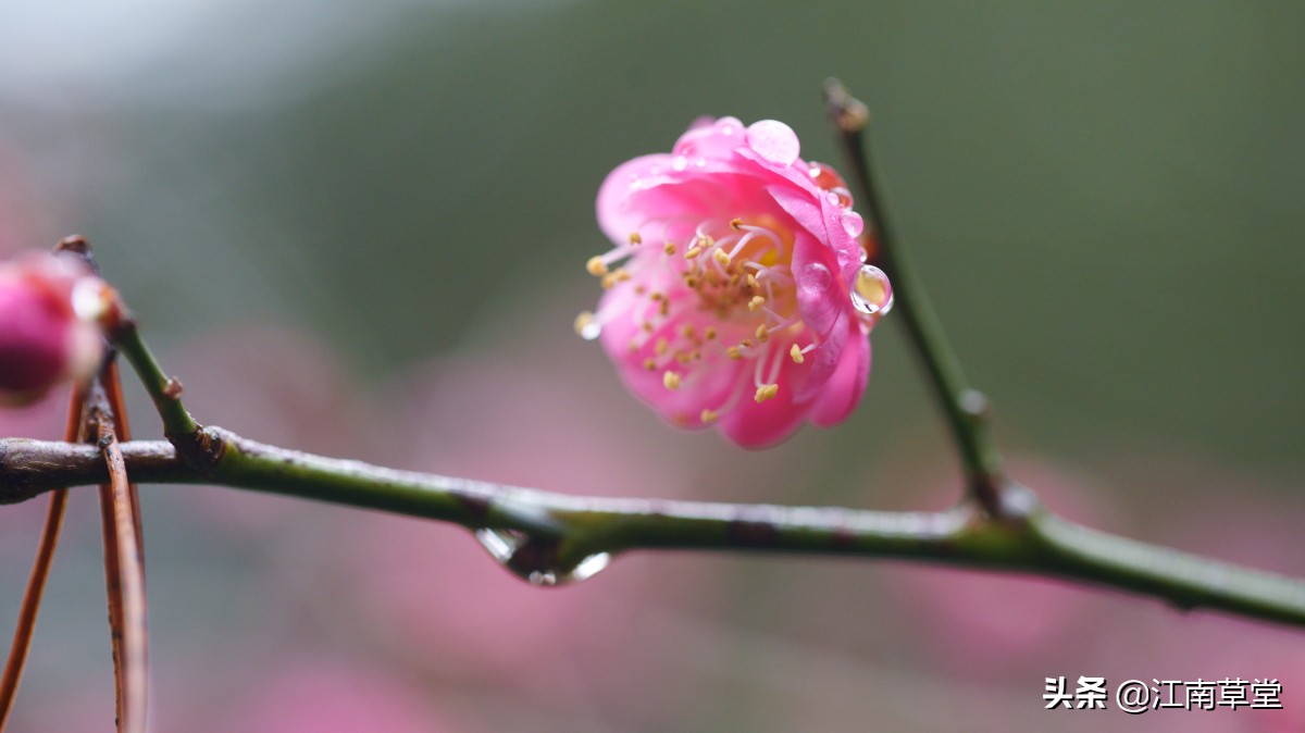 体制内文秘工作主要是干什么,体制内的文秘岗做什么工作