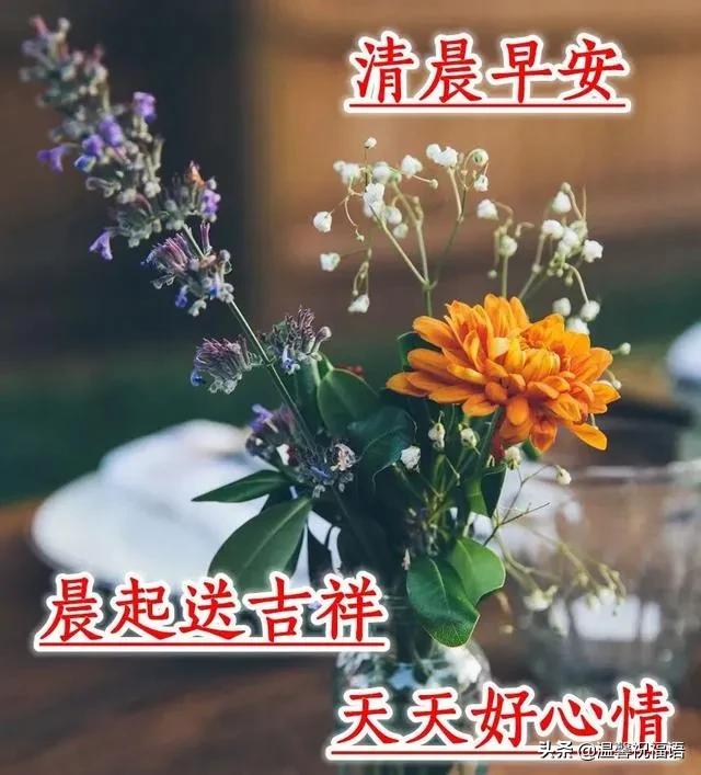 十一月初一早上好祝福,11.11光棍节祝福