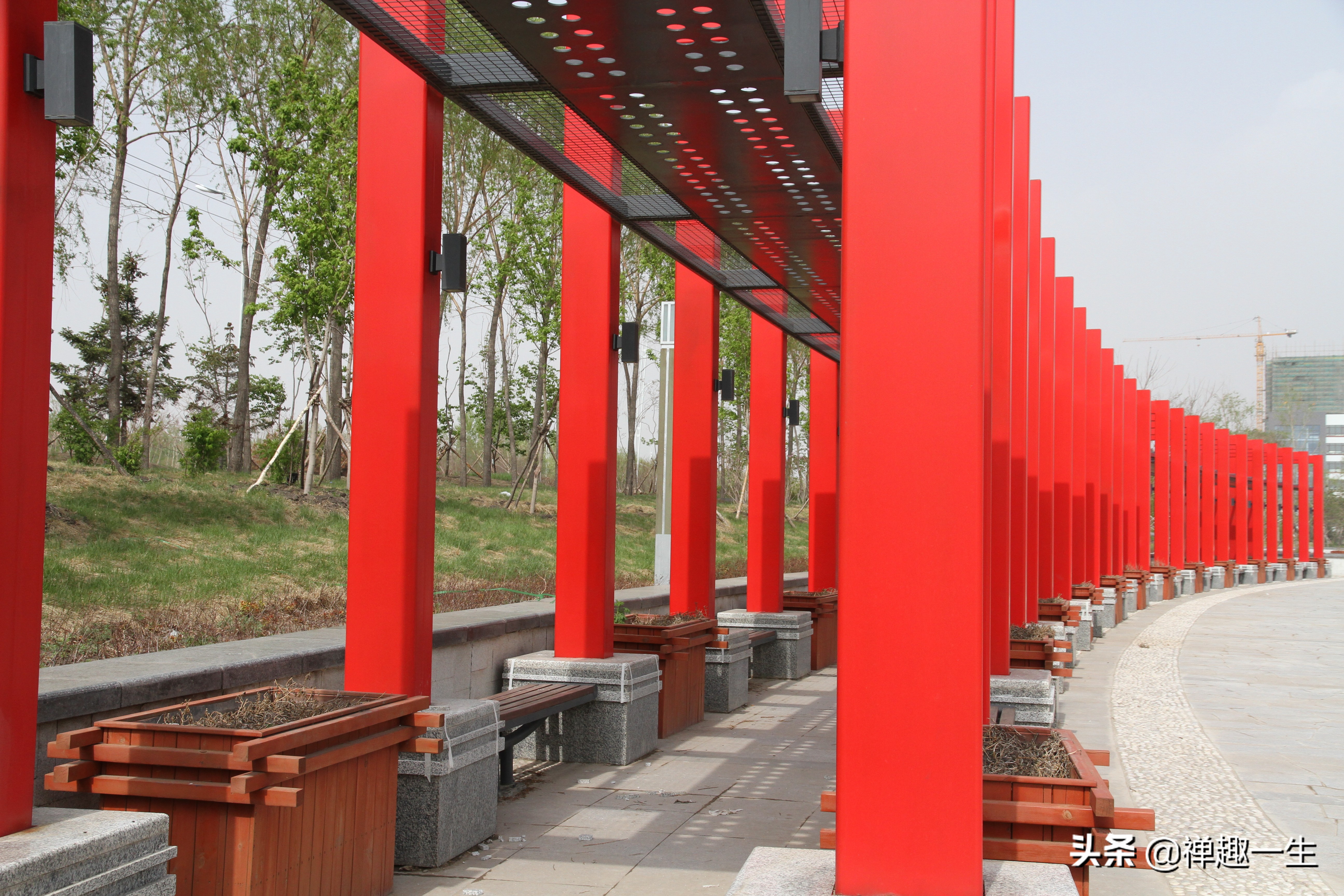 不是太阳岛!但大美湿地却都有一个像太阳般美丽的名字