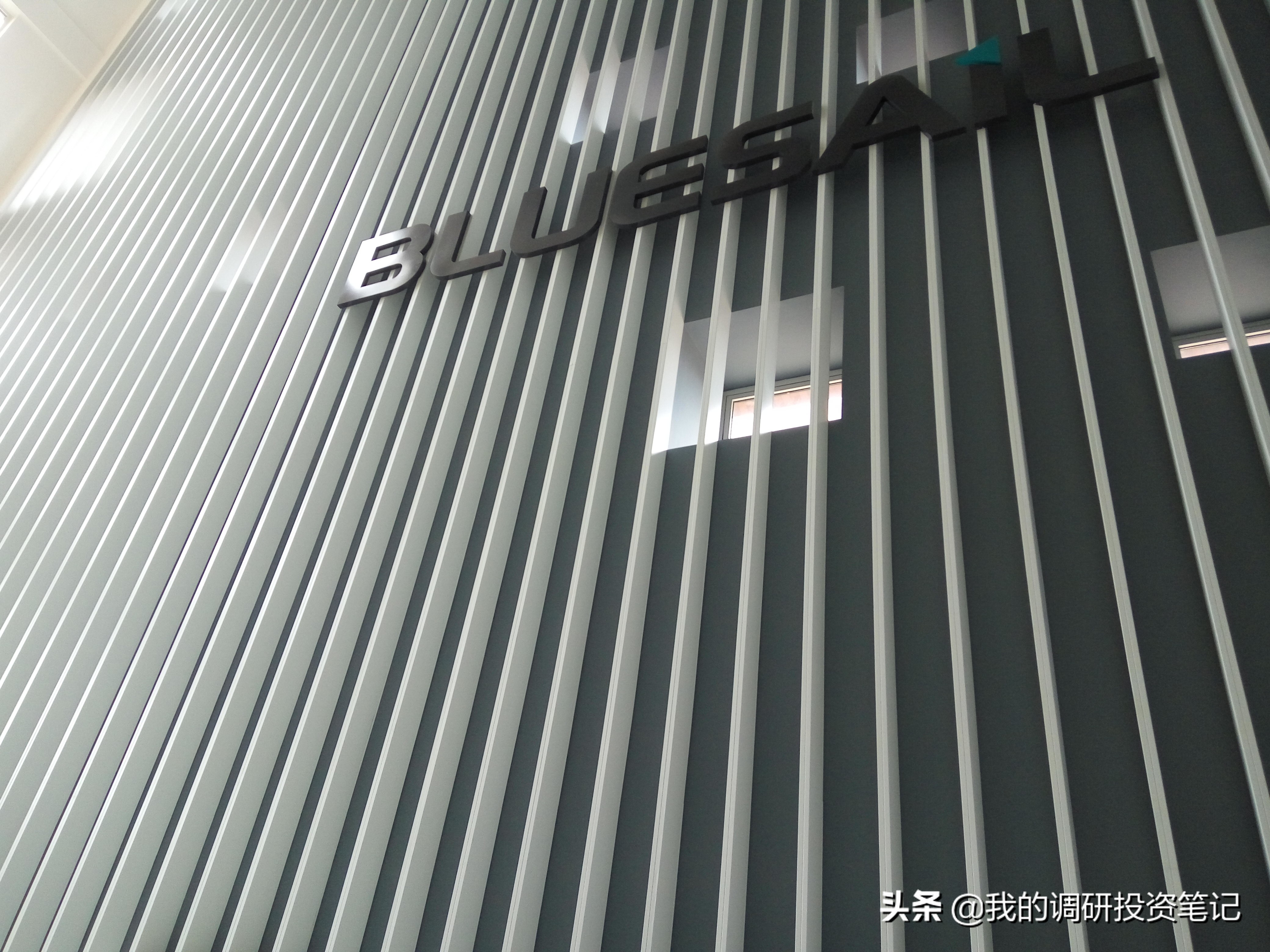 上市公司游记系列：欲往高处走的蓝帆医疗