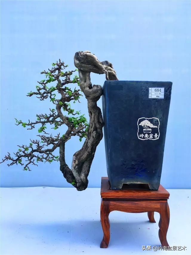 鎮礀缁濆閫㈢敓,鎮礀鐩嗘櫙澶у叏